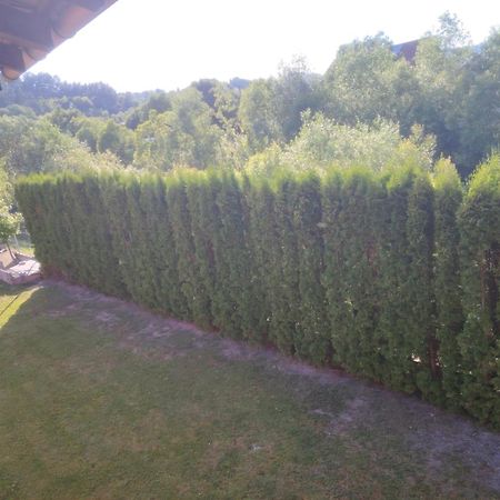 Pensiunea Floro Întorsura Buzăului Zewnętrze zdjęcie