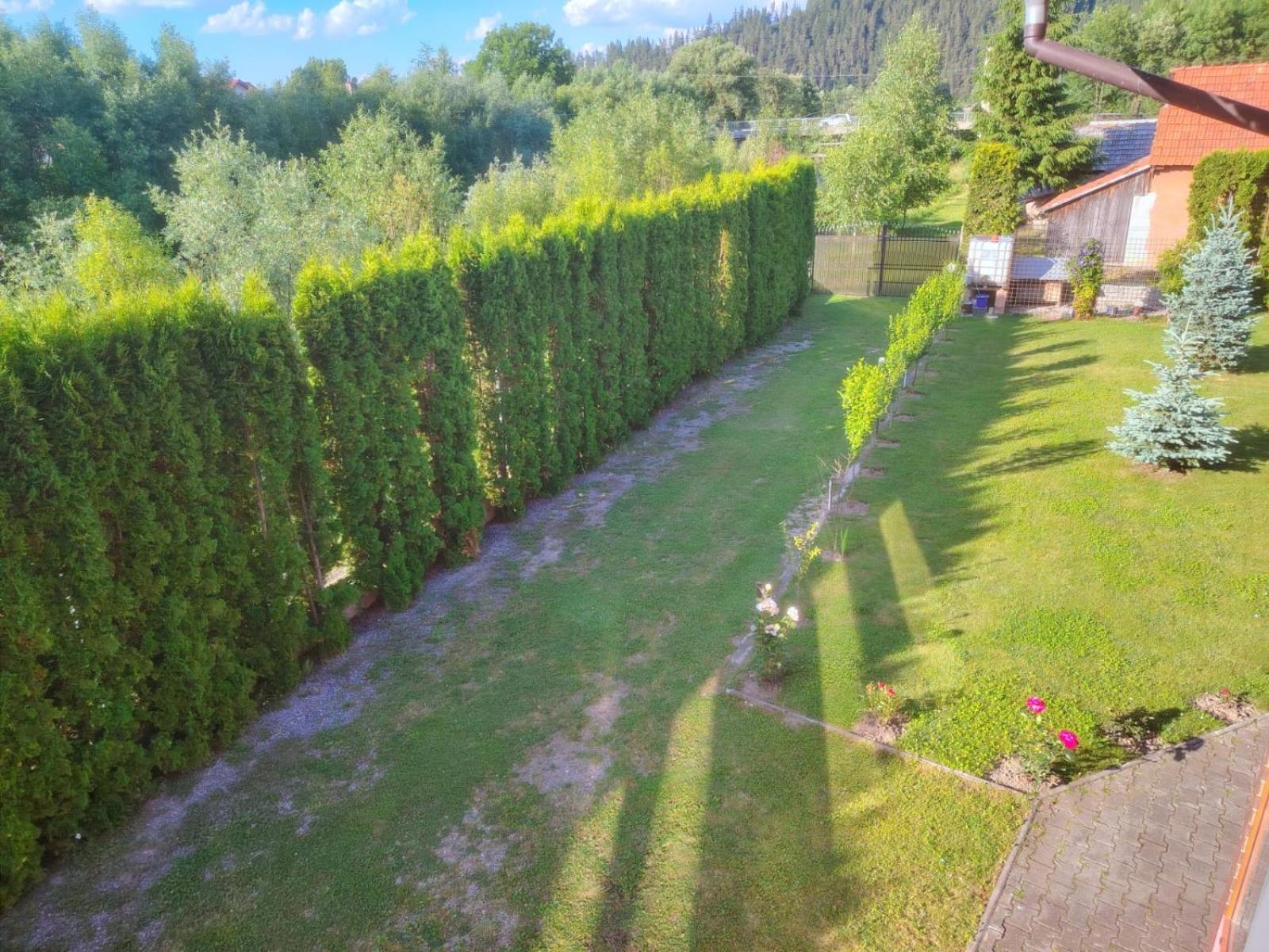 Pensiunea Floro Întorsura Buzăului Zewnętrze zdjęcie